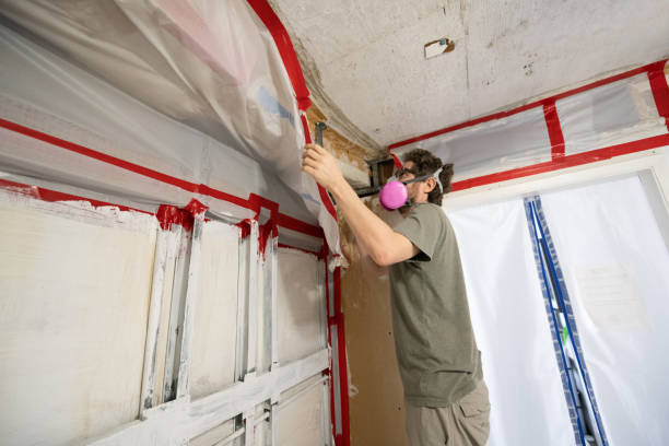 Best Water Damage & Mold Remediation  in Grandview, OK